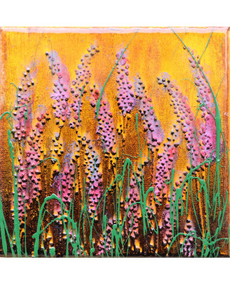 Lavanda in the summer